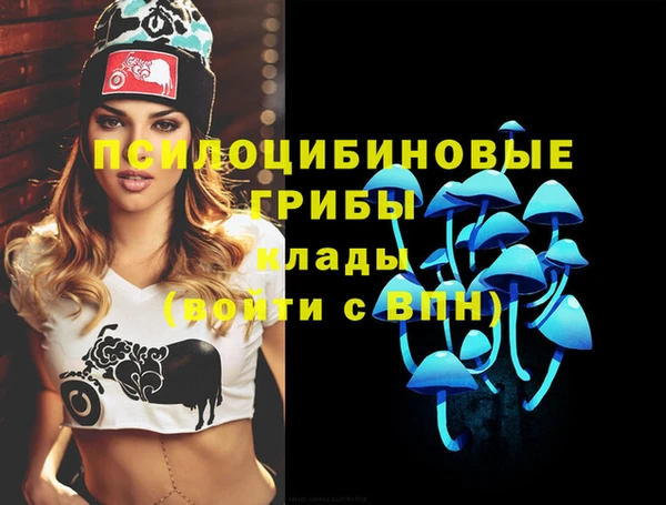 гидропоника Алексеевка