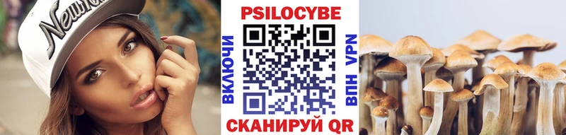 blacksprut ССЫЛКА  Вихоревка  Галлюциногенные грибы Psilocybine cubensis 